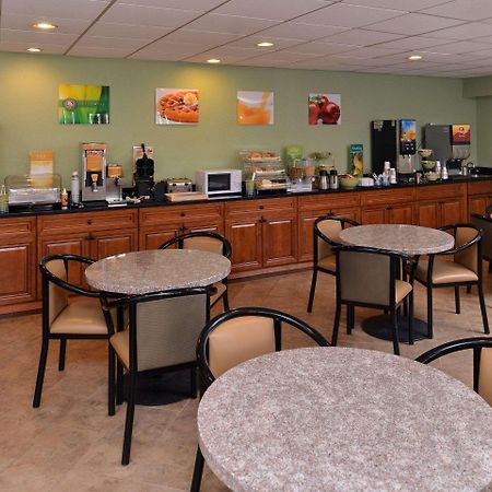 Quality Inn & Suites Matteson Near I-57 Bagian luar foto